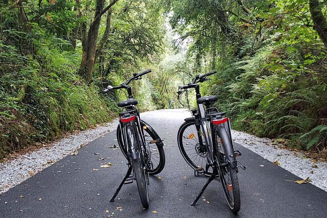 Self Guided Bike Tour on the Tralee to Fenit Greenway - Why the Tralee to Fenit Greenway feels like a smart day out