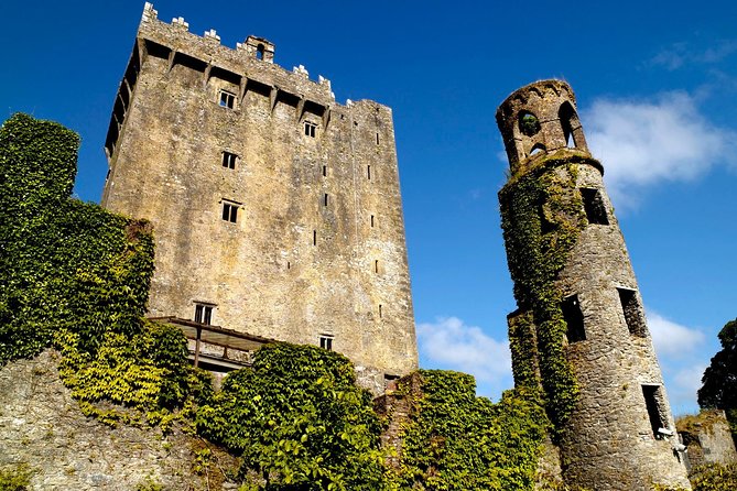 Shore Excursion From Cork: Including Blarney Castle and Kinsale - Port Pickup in Cobh: The Timing That Can Make or Break Blarney Day