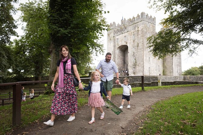 Skip the Line: Bunratty Castle and Folk Park Admission Ticket - The 19th-Century Folk Park Village Street