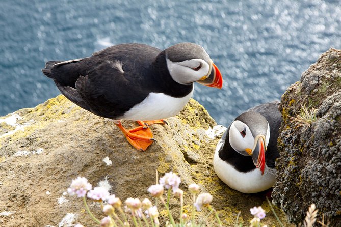 Small Group - Cliffs Cruise, Aran Islands AND Connemara in One Day from Galway - Why This One-Day Cliffs Plus Aran Islands Combo Works