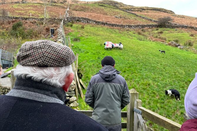 Small Group Kylemore Abbey, Sheepdog Demo & Connemara Tour - How the small-group format changes your day