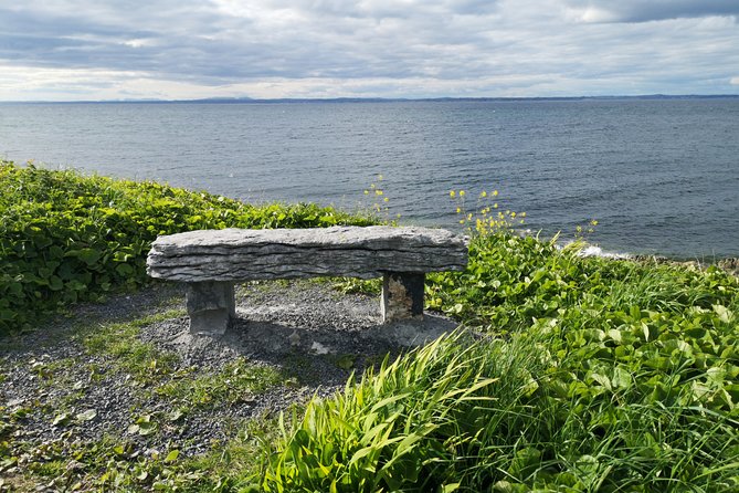 The Burren and Cliffs of Moher Private Tour from Galway - Poulnabrone Dolmen and Caherconnell Fort, the Burren’s “how did they build that?” stops