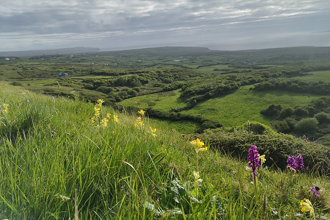The Burren and Cliffs of Moher Private Tour from Galway - Cliffs of Moher, 214 meters of coastline and real time to wander