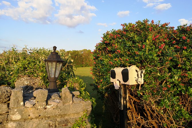 The Burren and Cliffs of Moher Private Tour from Galway - What you get for $720.91 per group, and where the value is real