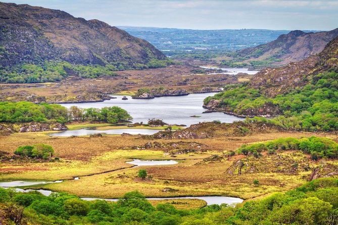 The Classic Ring of Kerry & Skellig Ring Tour - Skelligs Chocolate Co.: a working factory stop you can taste