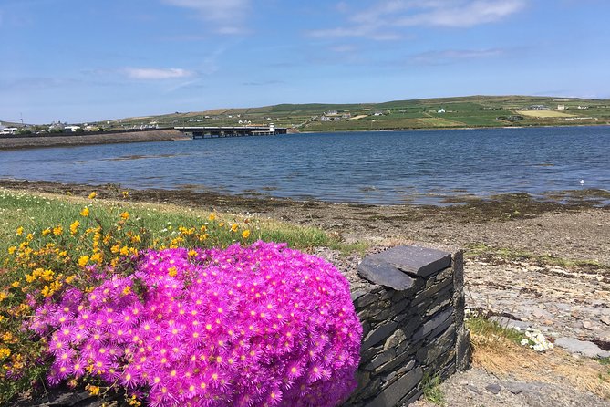 The Cliffs of Moher and Burren National Park Private Tour. - The Rock Shop stop near the Cliffs of Moher