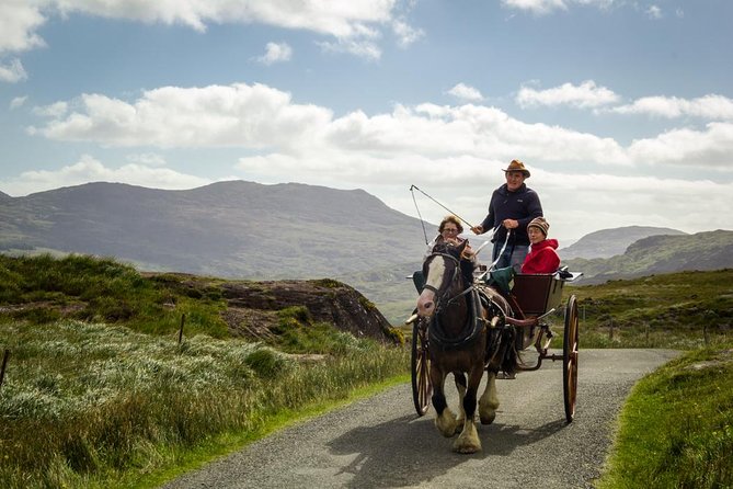 The Gap of Dunloe Adventure Day Tour from Killarney - Price and value: what you get for about $205 per person
