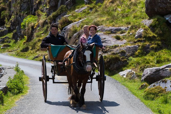 The Gap of Dunloe Full-Day Tour from Killarney - Price and value: what you’re really paying for