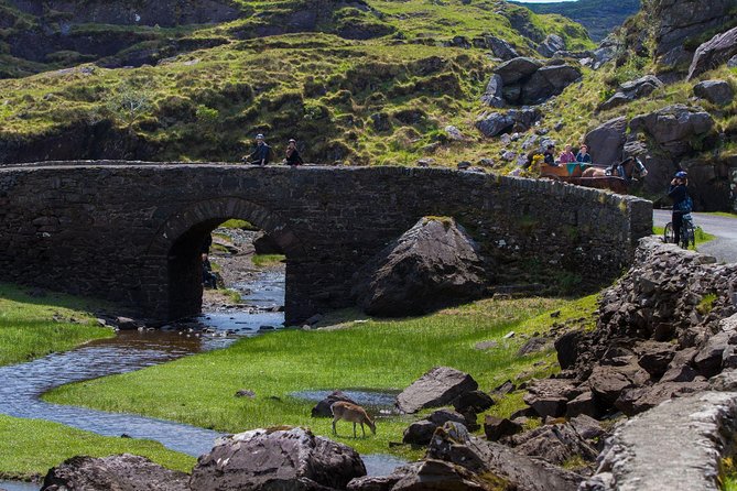 The Gap of Dunloe Full-Day Tour from Killarney - The day-of details that matter (and what to pack)