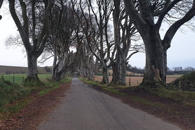 The Giant's Causeway, Dunluce Castel and Belfast - Spanish guide - Pacing and comfort: how to survive the long day well