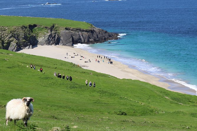 The Great Blasket Island Experience - Premium Tour - Entering Dingle Bay fast: why this boat day feels special