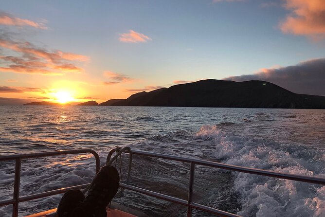 The Great Blasket Island Experience - Premium Tour - The island time you’re paying for: abandoned village, trails, and seals