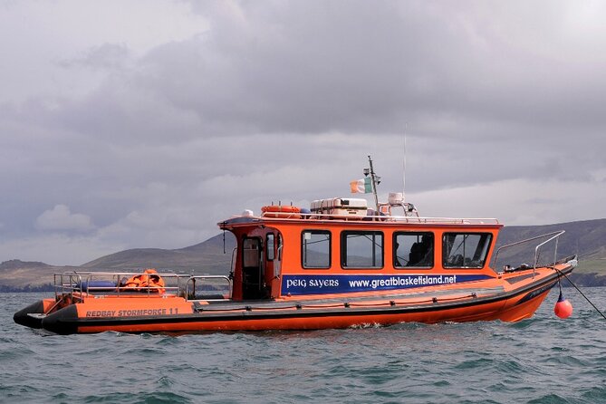The Great Blasket Island Experience - Premium Tour - Getting your sea day and your land day to match: timing from 12:30 to 4:00