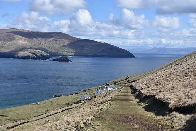 The Great Blasket Island Experience - Premium Tour - Who the Premium Tour fits best (and who should think twice)