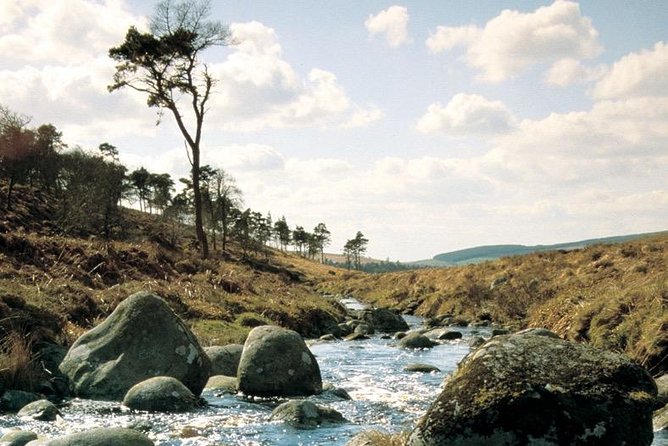 The Original Award Winning Wild Wicklow Tour incl. Glendalough - Lunch at Lynhams of Laragh, what you’re paying for