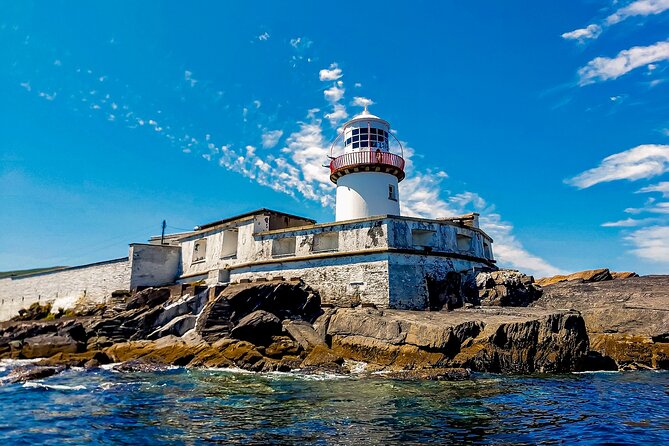 The Valentia Island Experience - Comfort, safety, and wildlife spotting on a glass-covered boat