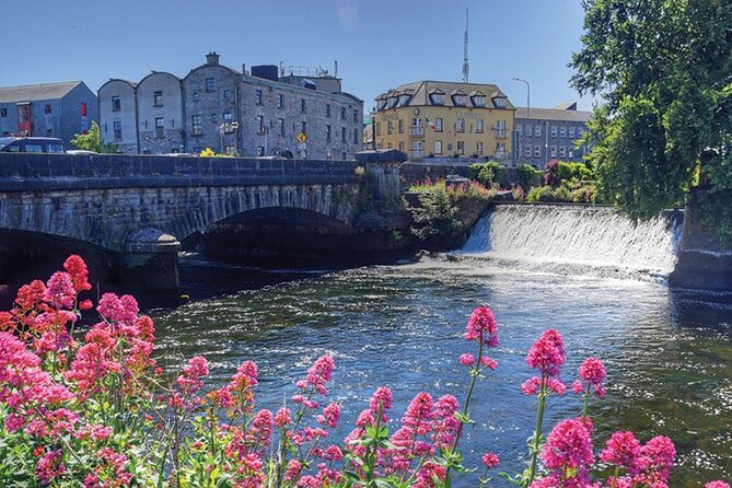 The Welcome to Galway Walking Tour - The Browne Doorway and the Tribes of Galway