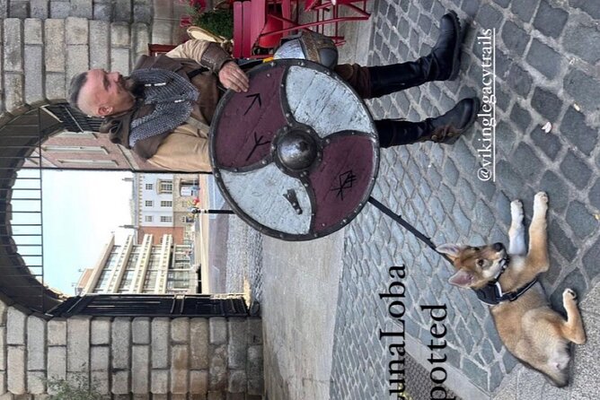 Walking Tour of Dublin’s Viking/Medieval Quarter with a Viking - Price and value at $36.30, what you really get for the money