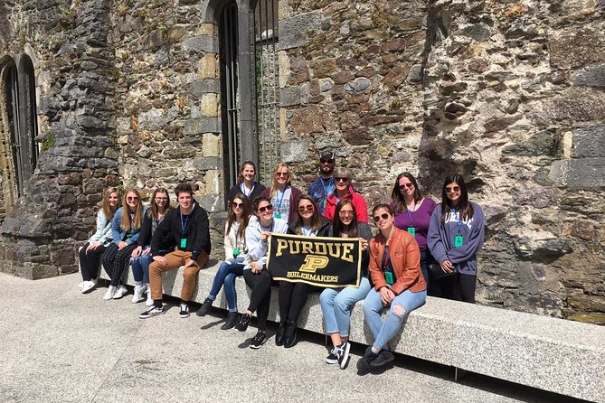 Waterford Treasures: Epic Walking Tour - Step Into the Viking Tower Stop for Photos and Instant Context