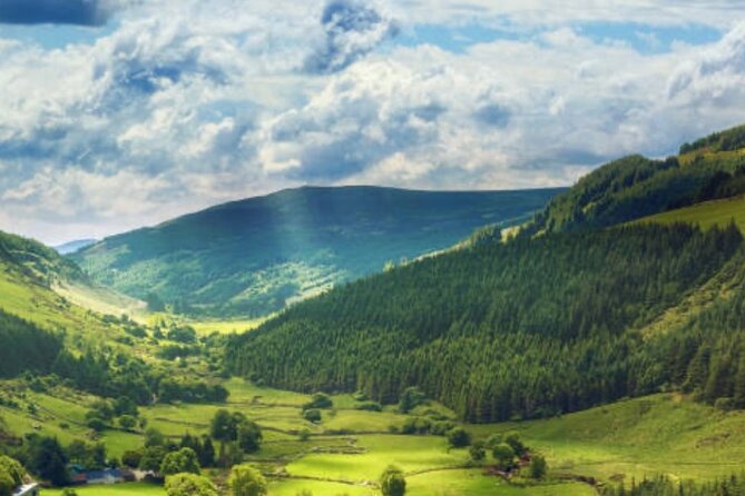 Wicklow and Glendalough Private Chauffeured Sightseeing Tour - Stop 2: Powerscourt Waterfall at 121m and the tree-lined approach