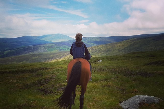 Wicklow Mountains Horse Trekking - Key highlights to notice before you book