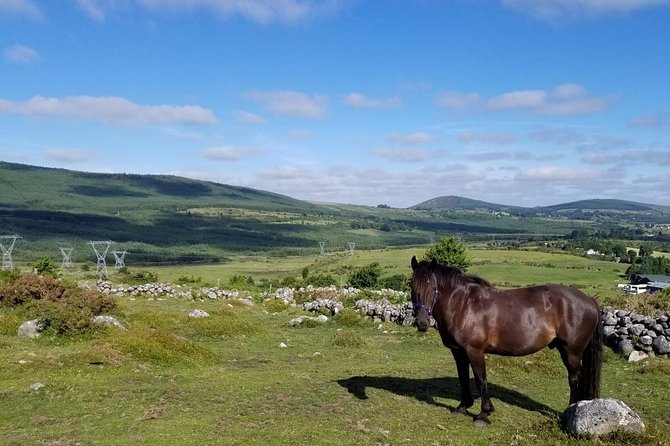 Wicklow Mountains Horse Trekking - A 90-minute trek that feels like real Wicklow country