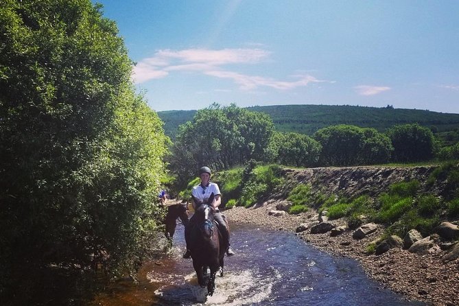 Wicklow Mountains Horse Trekking - Weather reality in Wicklow: rain, wind, and when the tour might change