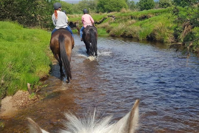 Wicklow Mountains Horse Trekking - Safety and fitness: what “moderate” means for your day