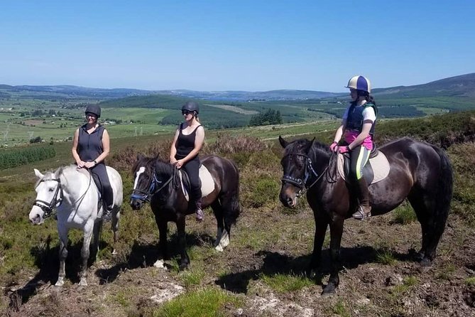 Wicklow Mountains Horse Trekking - Price and value: $90.70 for a guided mountain ride