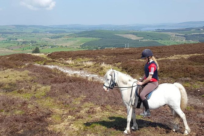 Wicklow Mountains Horse Trekking - What kind of traveler should pick this Wicklow trek