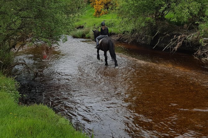 Wicklow Mountains Horse Trekking - Meeting at Hollywood Horse And Pony Trekking (Bishopsland) and then back again