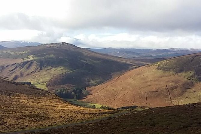Wicklow tour of Glendalough - Glendalough: the guided valley walk that makes history make sense